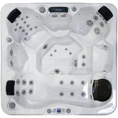 Avalon EC-849L hot tubs for sale in Hawthorne