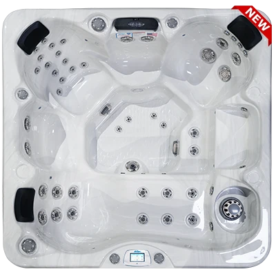 Avalon-X EC-849LX hot tubs for sale in Hawthorne
